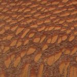 leopardwood brazilian