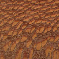 Leopardwood, Brazilian-image
