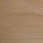 red grandis eucalyptus