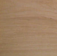 Red Grandis® Eucalyptus-image