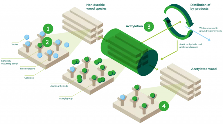 acetylation wood technology