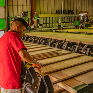 Man working in the shop