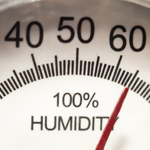 Humidity Gauge