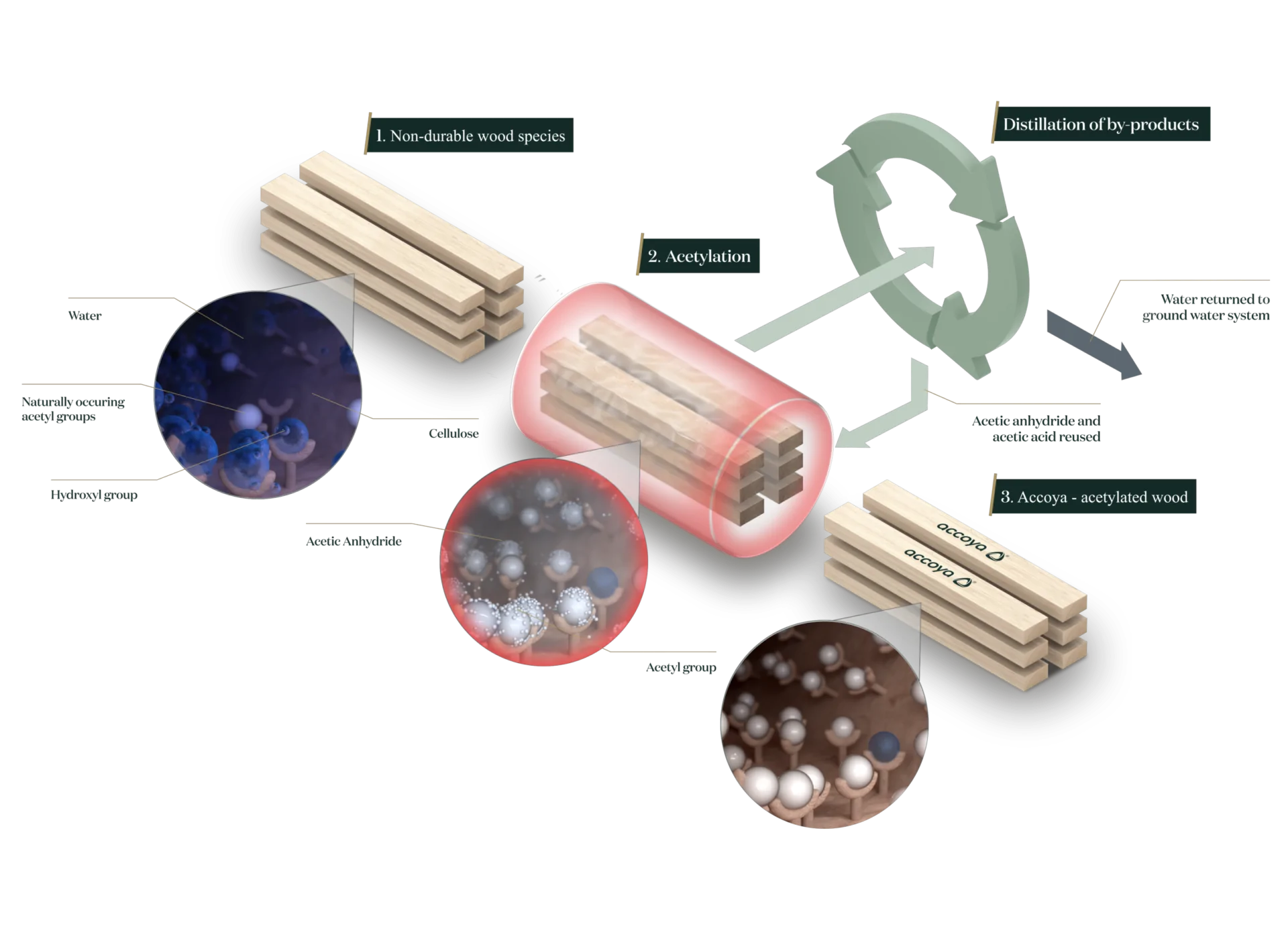 acetylation wood technology