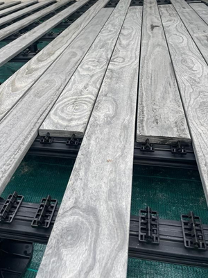 Showing the Grad System